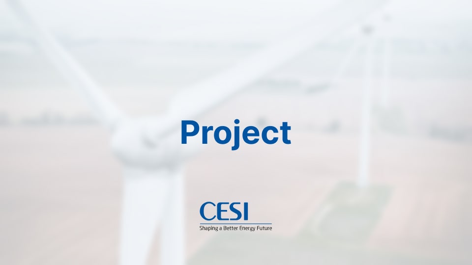 EIA transboundary procedure and feasibility study for EuroAsia 2000MW HVDC interconnection
