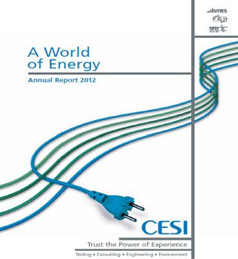 The Annual Report 2012 is now available