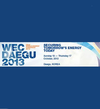 Smart grid debates at the WEC Daegu 2013