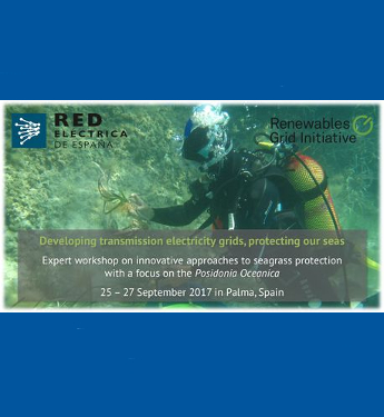 CESI, STUDY ON POSIDONIA MEADOWS