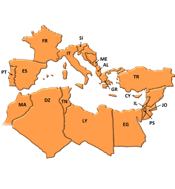 Med-TSO market studies