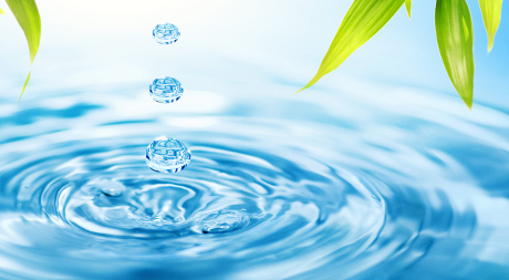 Water quality trading