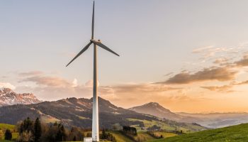 IEEE Harmonic Standards:  Power Plant Harmonics