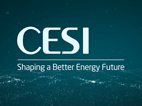 CESI Corporate video long version