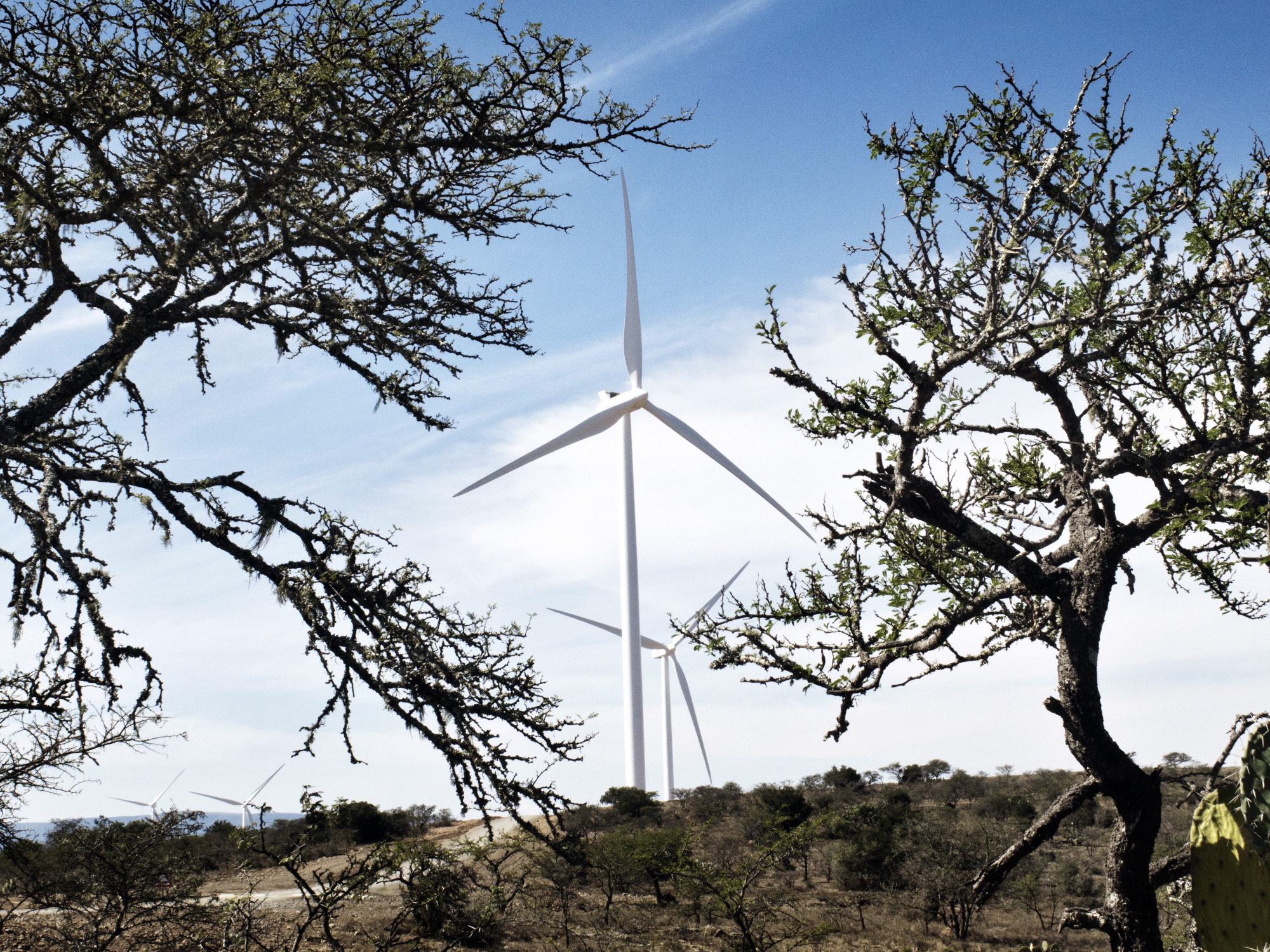 Renewables in South Africa: the new study by RES4Africa and CESI