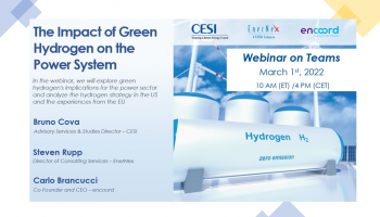 The Impact of Green Hydrogen on the Power System