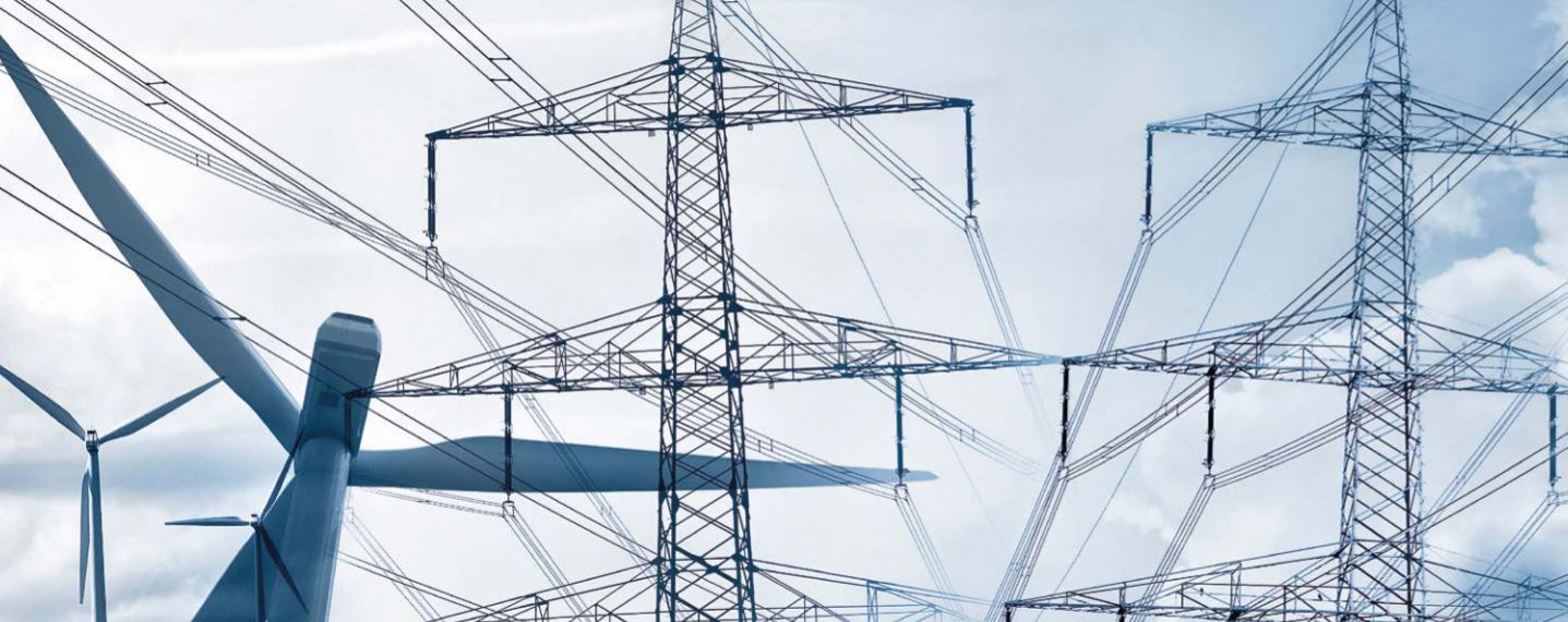 CESI offers Technical Assistance on Suriname distribution system networks