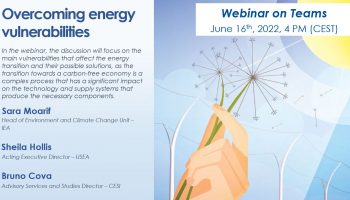 Overcoming Energy Vulnerabilities