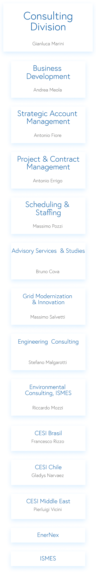 Consulting Division Organization