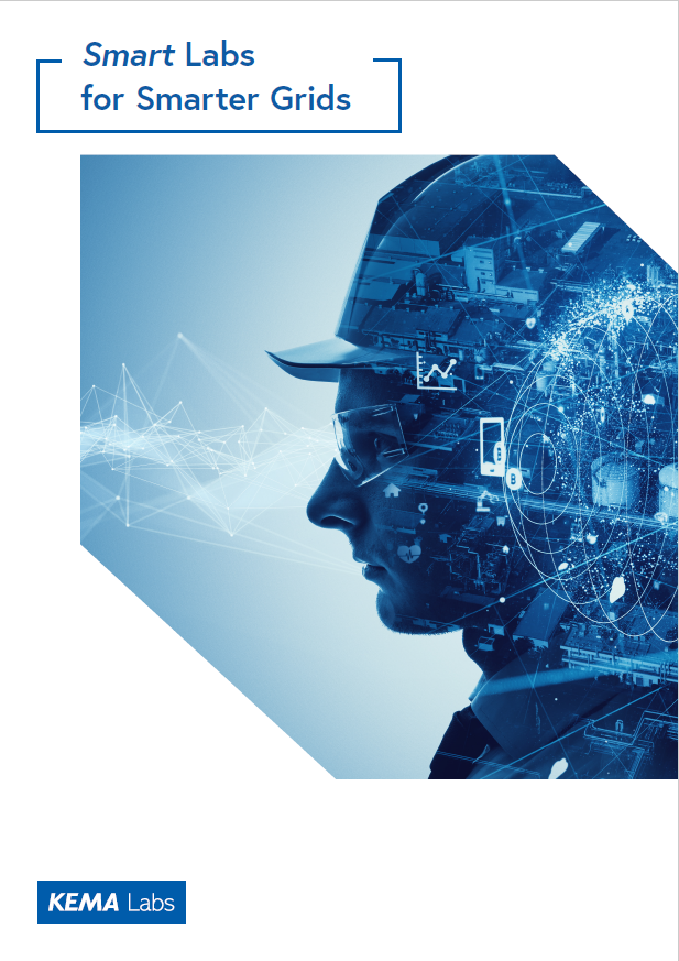 Smart Labs for Smarter Grids