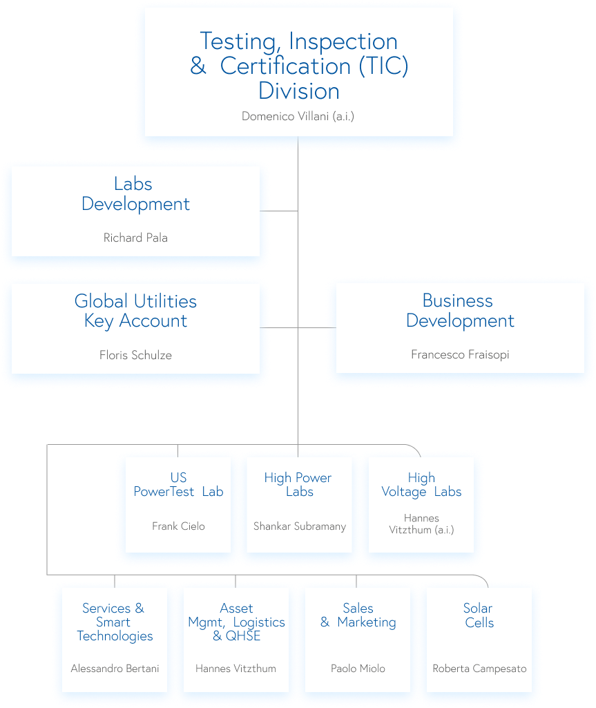Testing, Inspection & Certification Division Organization